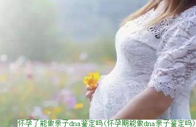 怀孕了能做亲子dna鉴定吗(怀孕期能做dna亲子鉴定吗)