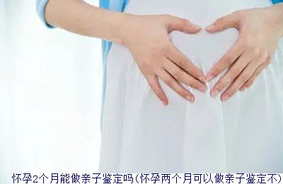 怀孕2个月能做亲子鉴定吗(怀孕两个月可以做亲子鉴定不)