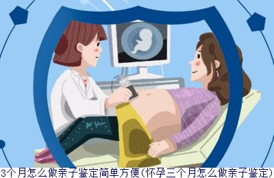 怀孕3个月怎么做亲子鉴定简单方便(怀孕三个月怎么做亲子鉴定)