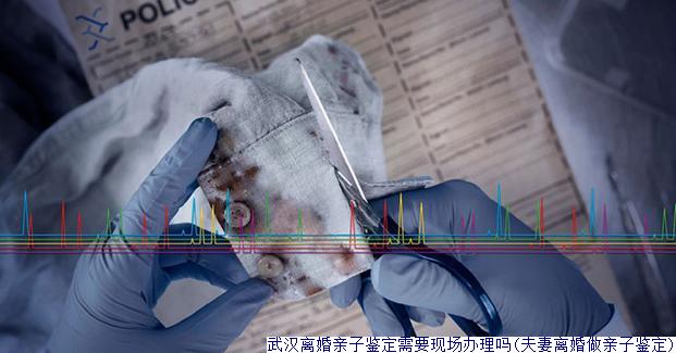 武汉离婚亲子鉴定需要现场办理吗(夫妻离婚做亲子鉴定)
